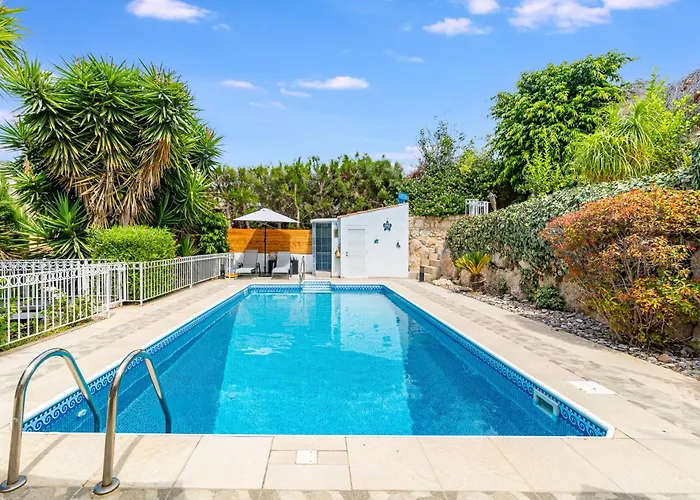 The Bridge By Ezoria Golful Coralilor