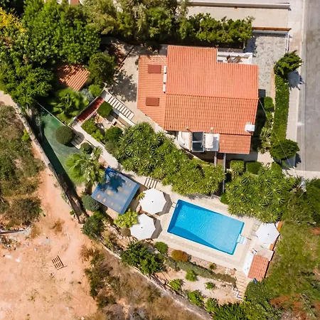 The Bridge By Ezoria Coral Bay