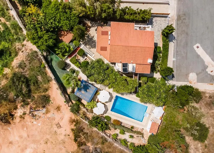 The Bridge By Ezoria Coral Bay